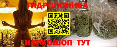 соль курить ск Аргун