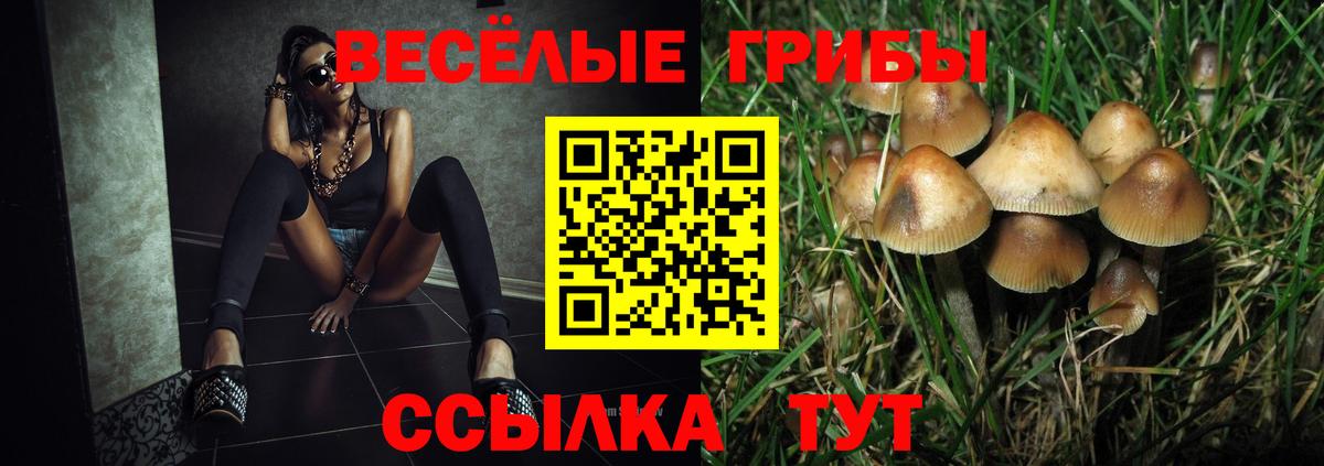 Псилоцибиновые грибы ЛСД Бузулук